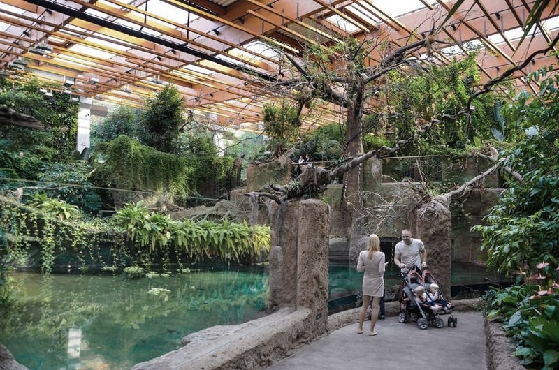 Dojazd do zoo we Wrocławiu – trasa, parking i komunikacja miejska