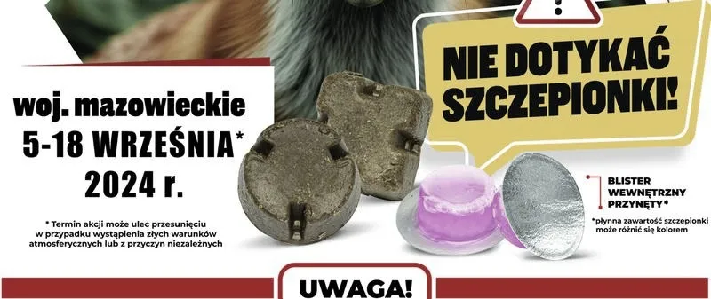 Ile kosztuje szczepienie przeciwko wściekliźnie dla psa i co warto wiedzieć?