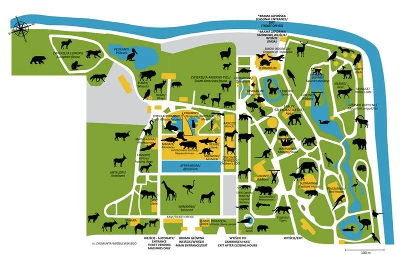 Zoo Wrocław: jak zaplanować zwiedzanie i zobaczyć najważniejsze atrakcje